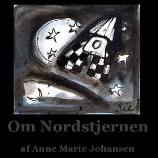 Om Nordstjernen Stella Polaris. Tegnet skitsebog med illustrationer i blæk af Billedkunstner Anne Marie Johansen